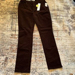 NWT. Charter Club ‘Lexington Straight’ corduroy. Dark brown. Size 6.